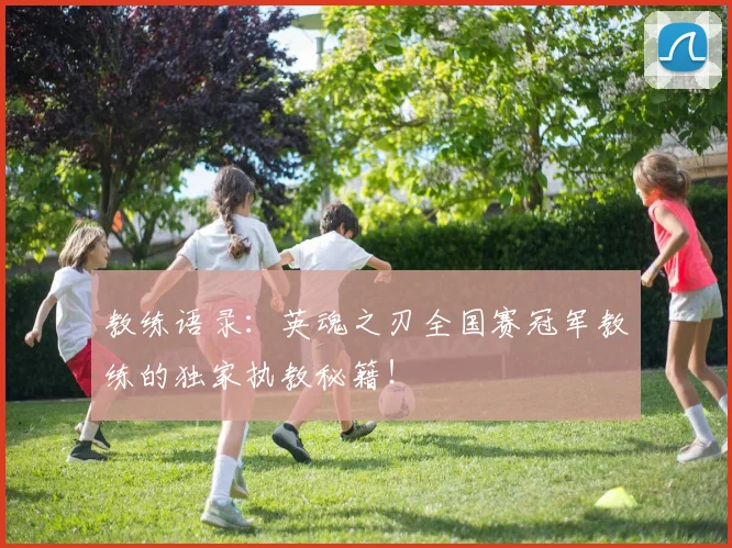 教练语录:英魂之刃全国赛冠军教练的独家执教秘籍!