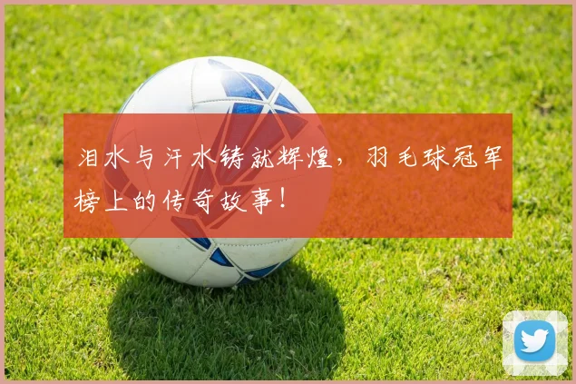 泪水与汗水铸就辉煌,羽毛球冠军榜上的传奇故事!
