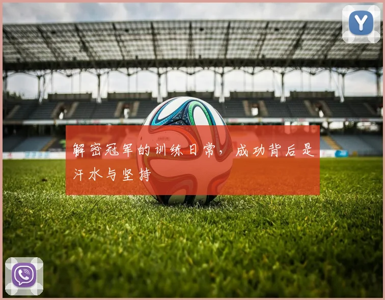 解密冠军的训练日常，成功背后是汗水与坚持