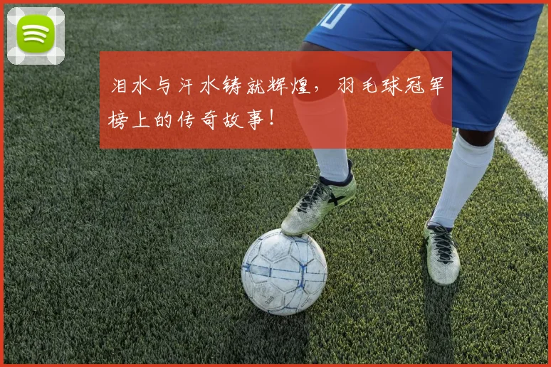 泪水与汗水铸就辉煌，羽毛球冠军榜上的传奇故事！