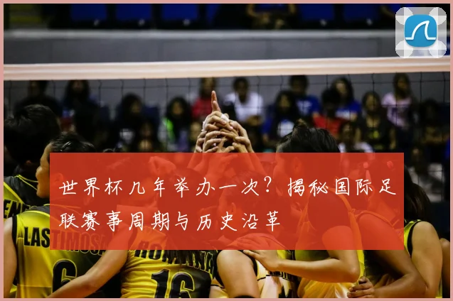 世界杯几年举办一次？揭秘国际足联赛事周期与历史沿革
